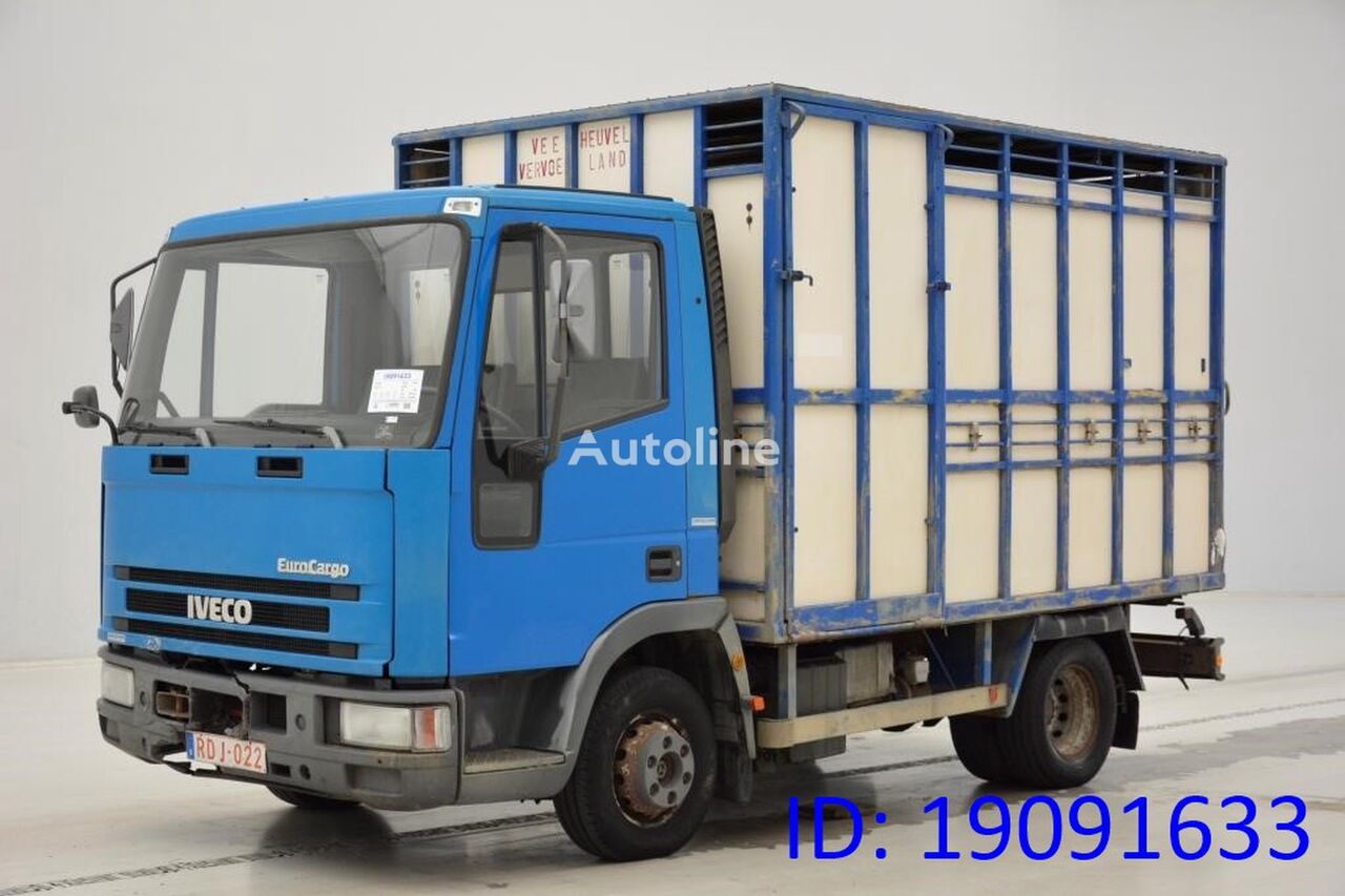 IVECO 65E14 livestock truck